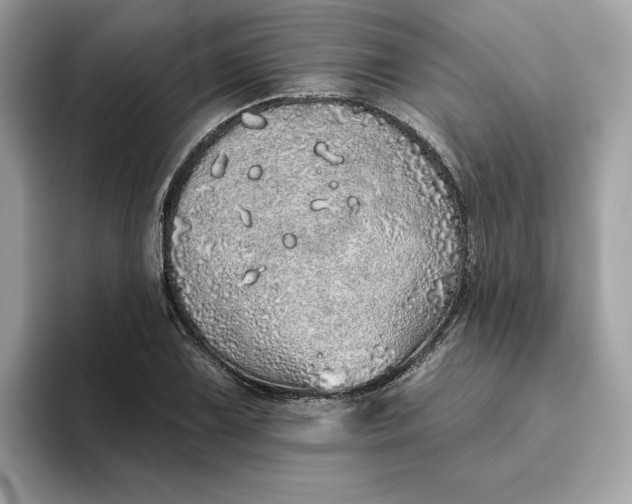 X0000094771075200711301521