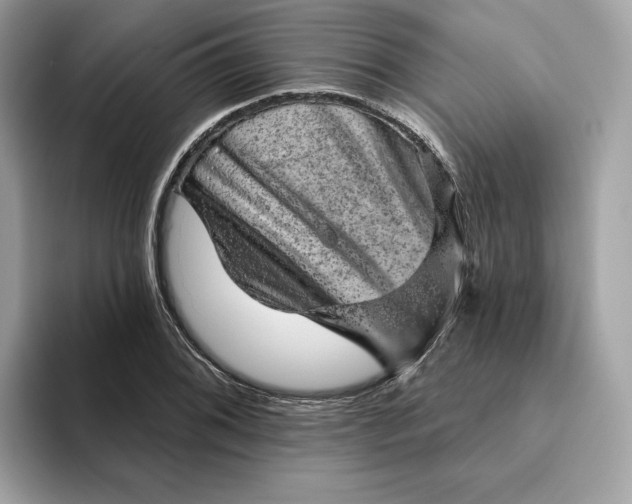 X0000094771076200711301521