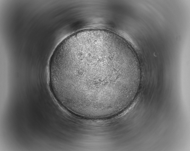 X0000094771079200711301521