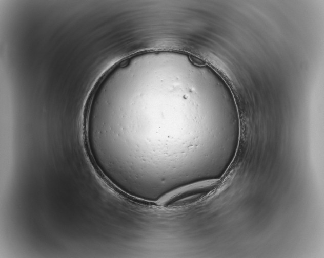 X0000094771087200711301521