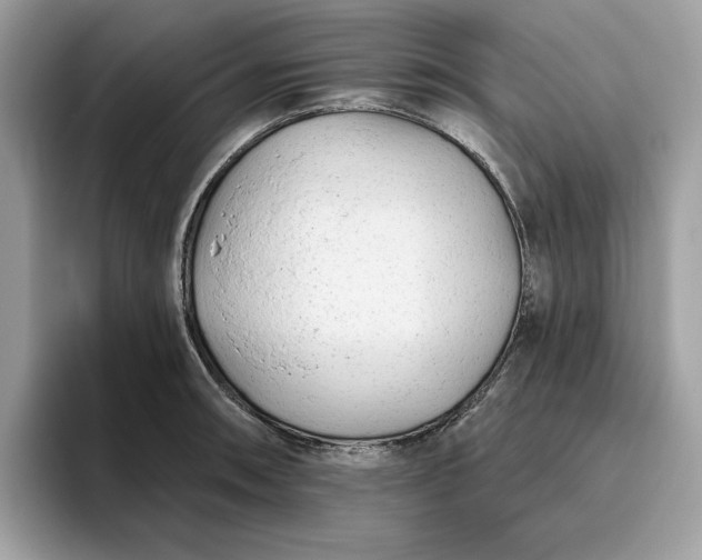 X0000094771090200711301521