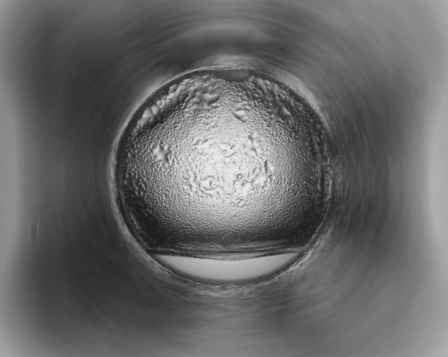 X0000094771091200711301521