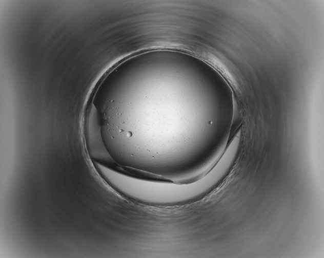 X0000094771092200711301521