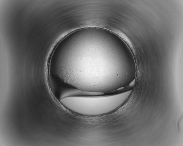 X0000094771096200711301521