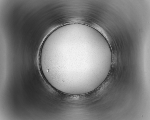 X0000094771098200711301521