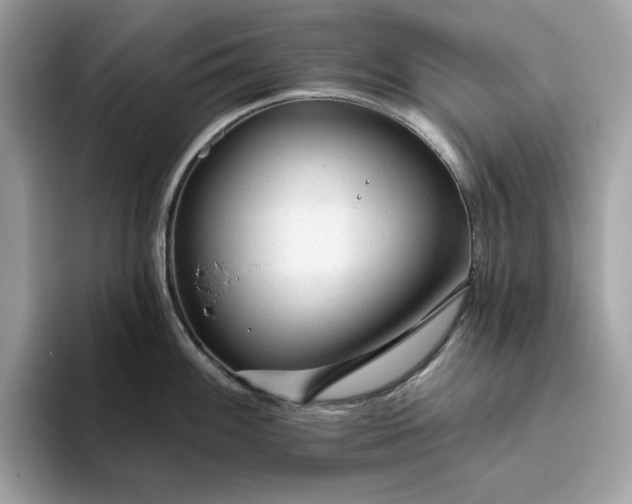 X0000094771100200711301521