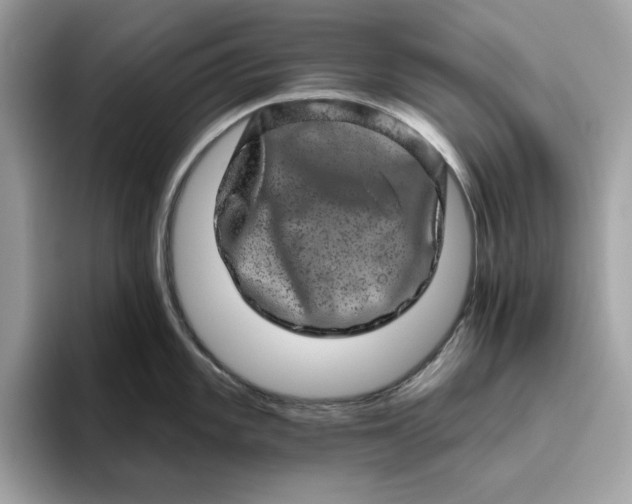 X0000094771101200711301521