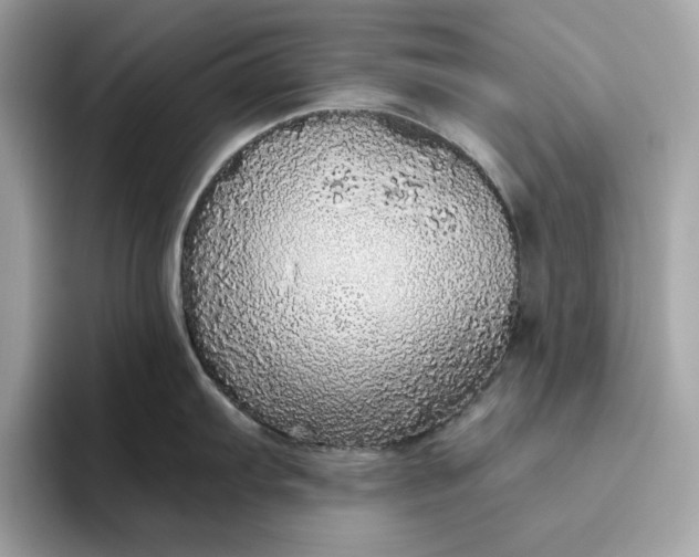 X0000094771103200711301521