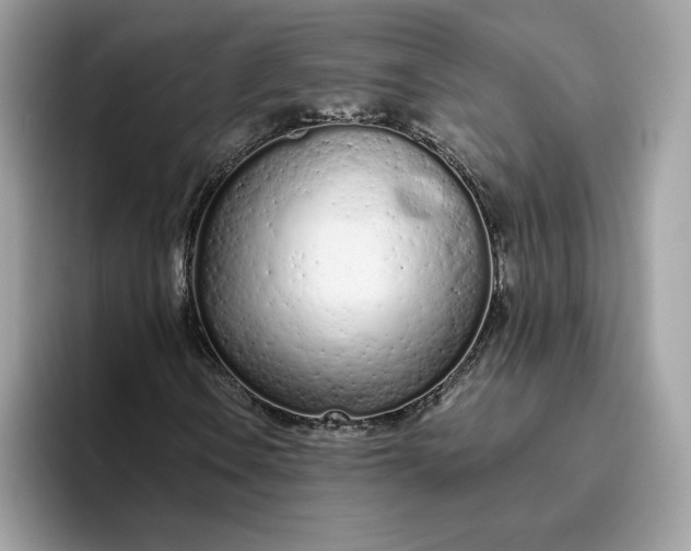 X0000094771106200711301520