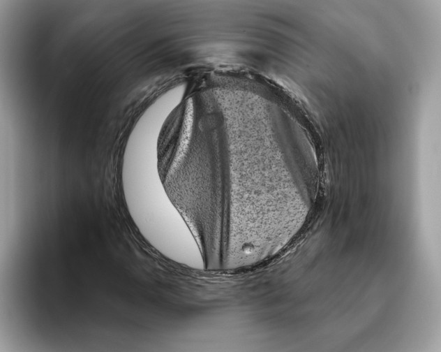 X0000094771110200711301520