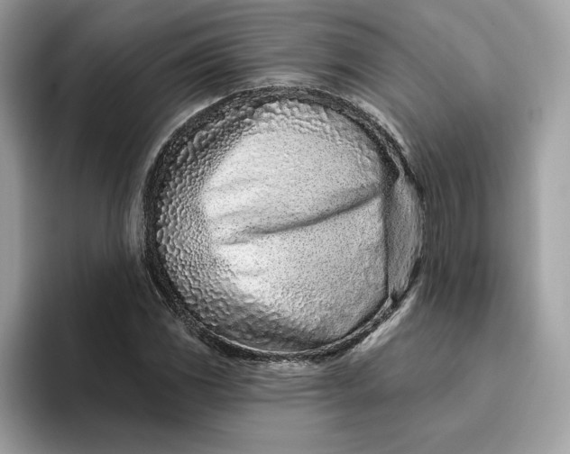 X0000094771117200711301520