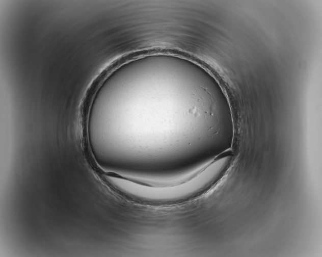 X0000094771118200711301520