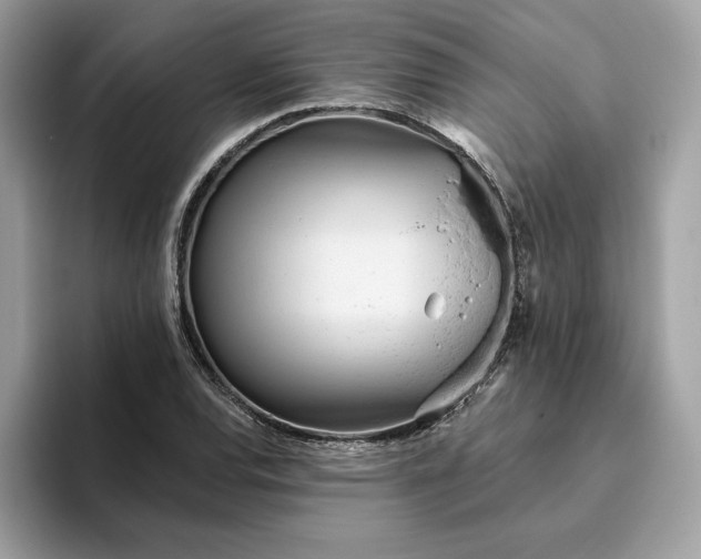 X0000094771120200711301520