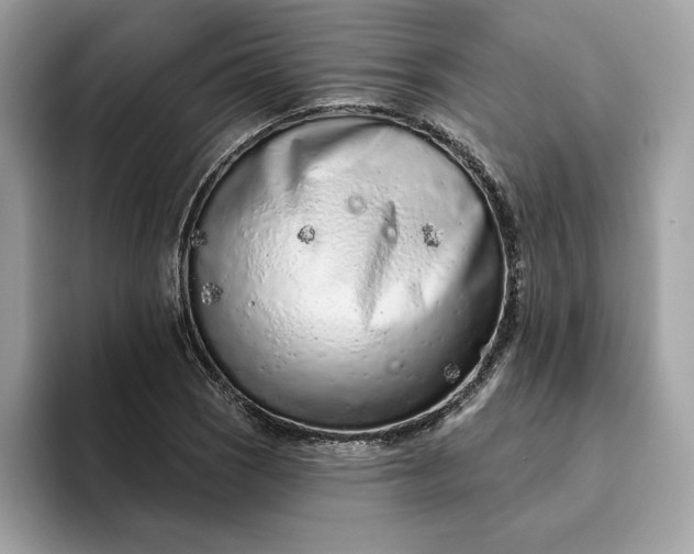 X0000094771121200711301520