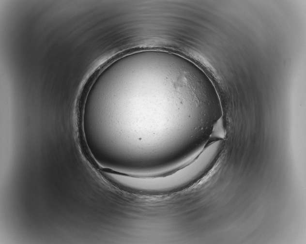 X0000094771122200711301520