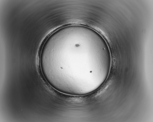 X0000094771125200711301520