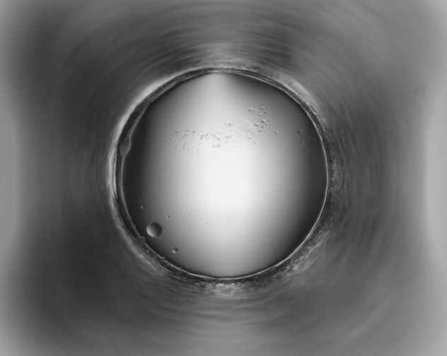 X0000094771128200711301521