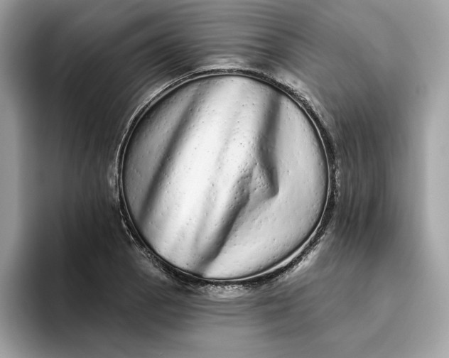 X0000094771129200711301521