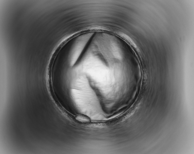 X0000094771133200711301521