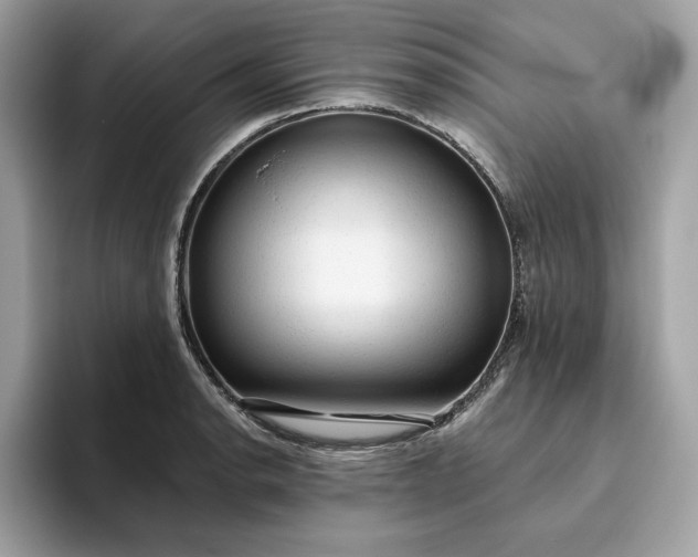 X0000094771134200711301521