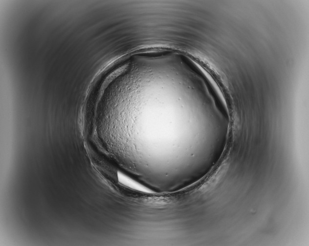 X0000094771137200711301521