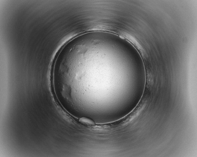 X0000094771138200711301521