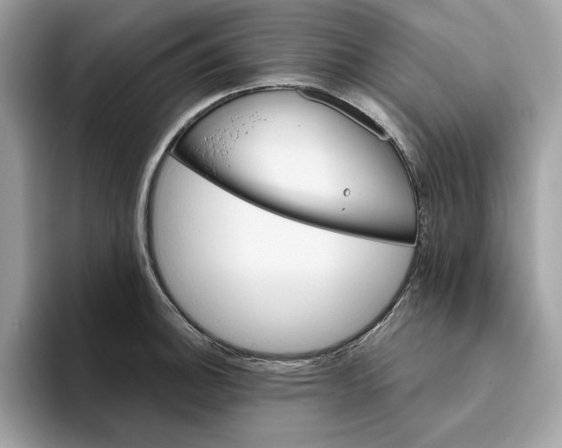 X0000094771140200711301521