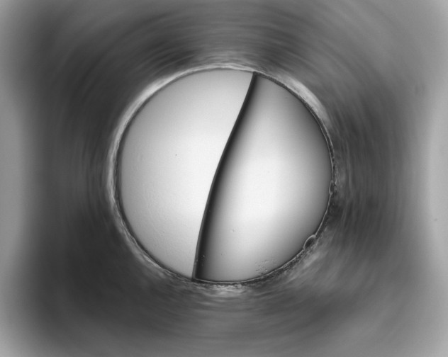 X0000094771144200711301521