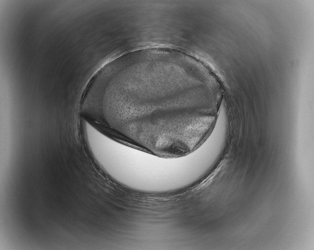 X0000094771165200711301520