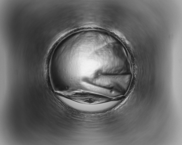 X0000094771167200711301520