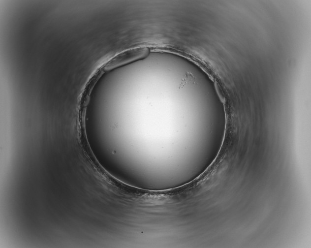 X0000094771168200711301520