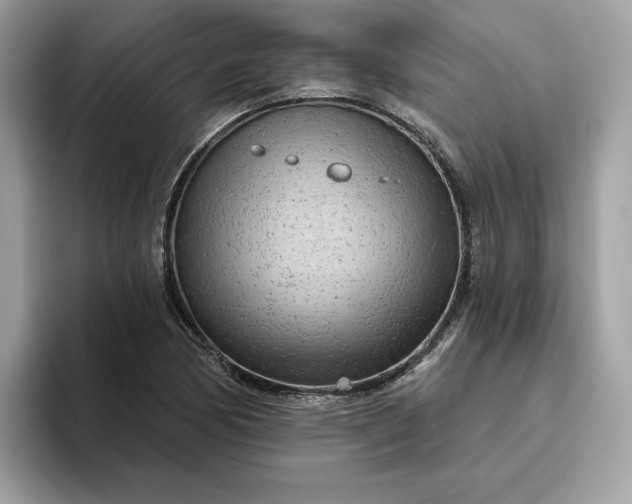 X0000094771170200711301520