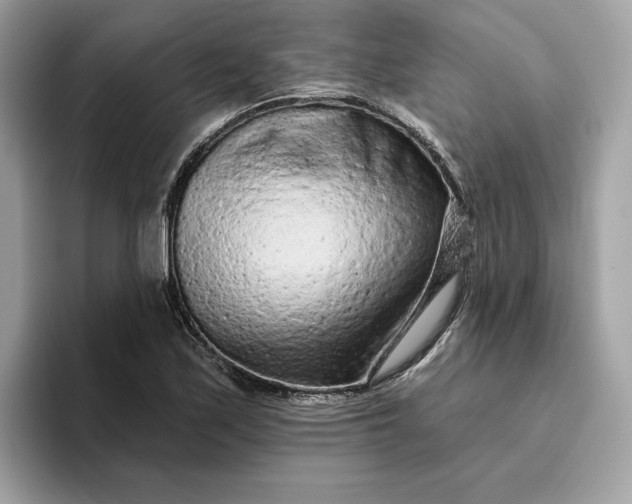 X0000094771171200711301520