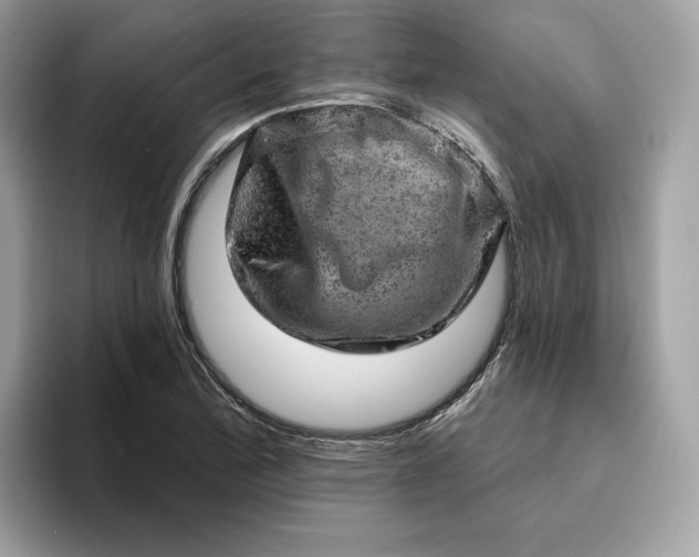 X0000094771172200711301520