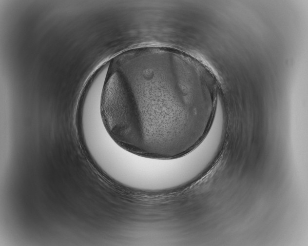 X0000094771173200711301520