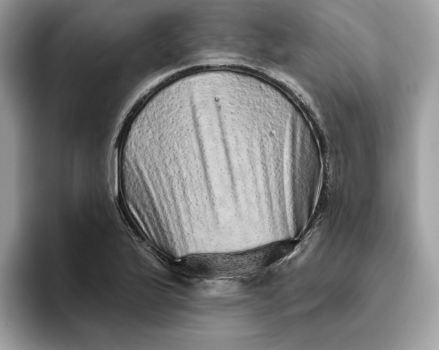 X0000094771175200711301520