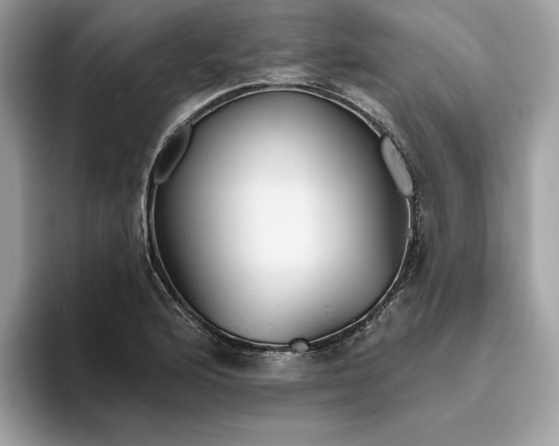 X0000094771176200711301520