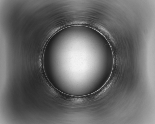 X0000094771177200711301520