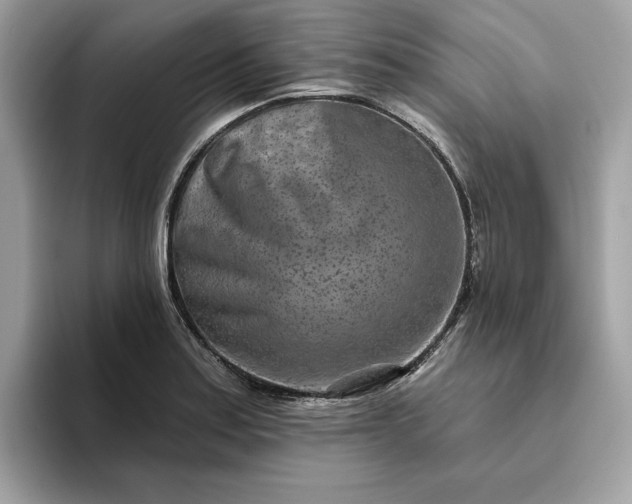 X0000094771179200711301520