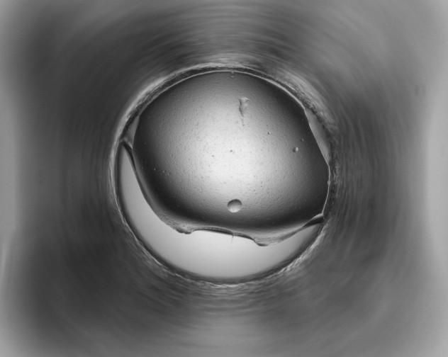 X0000094771180200711301520