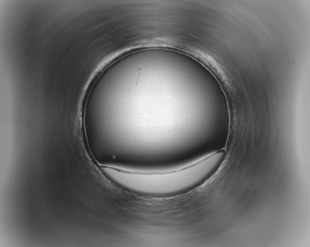 X0000094771184200711301520