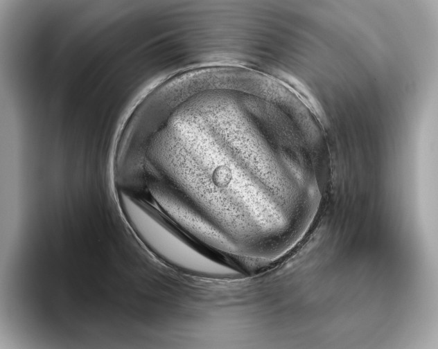 X0000094771188200711301520