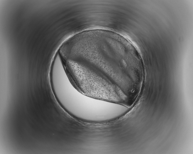 X0000094771189200711301520