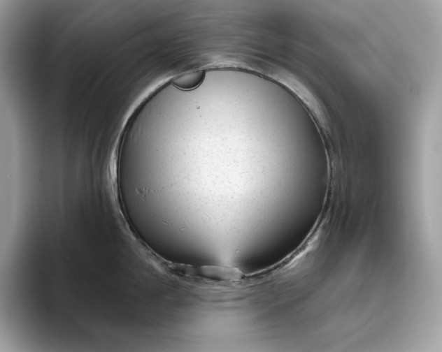 X0000094771198200711301520