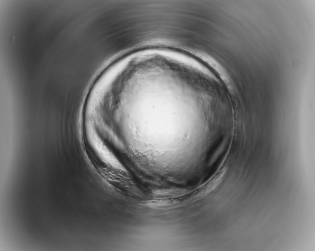 X0000094771199200711301520