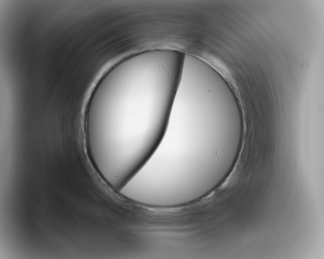 X0000094771200200711301520