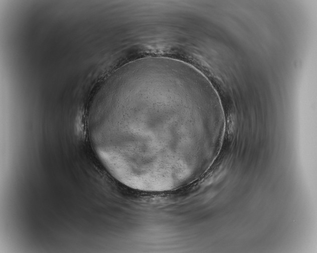 X0000094771202200711301519