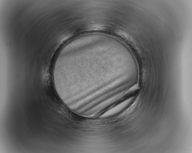 X0000094771210200711301519