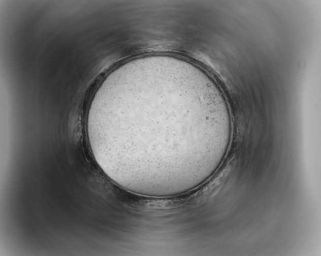 X0000094771211200711301519