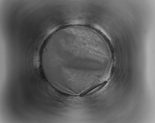 X0000094771213200711301519